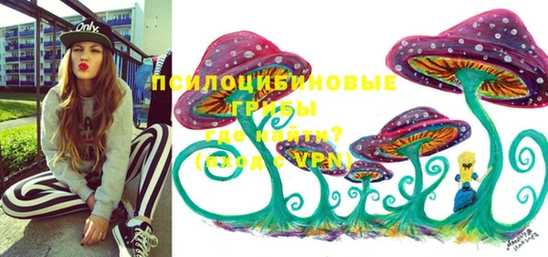 ГАЛЛЮЦИНОГЕННЫЕ ГРИБЫ Магас
