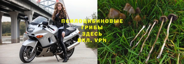 твердый Михайловск