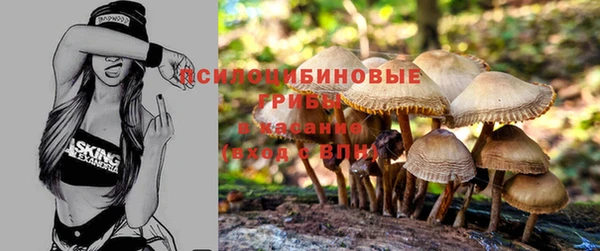 ECSTASY Михайловка