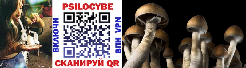 Псилоцибиновые грибы ЛСД  Иннополис 
